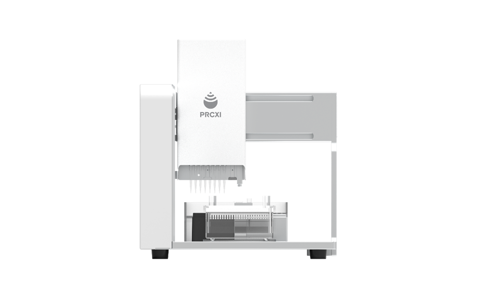 Gel Electrophoresis System
