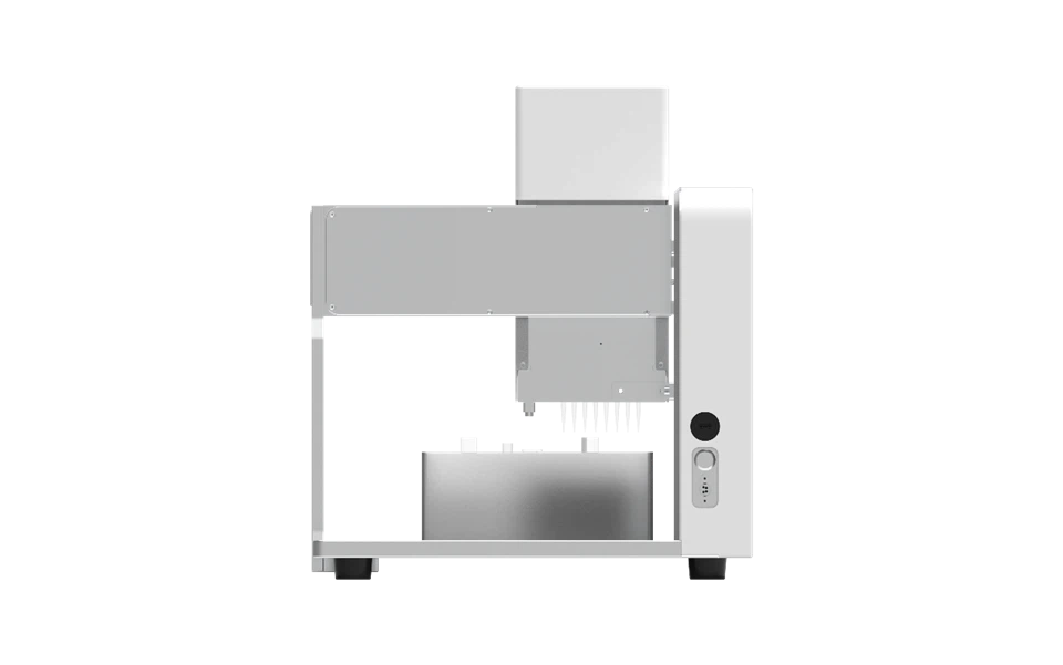 Gel Electrophoresis System