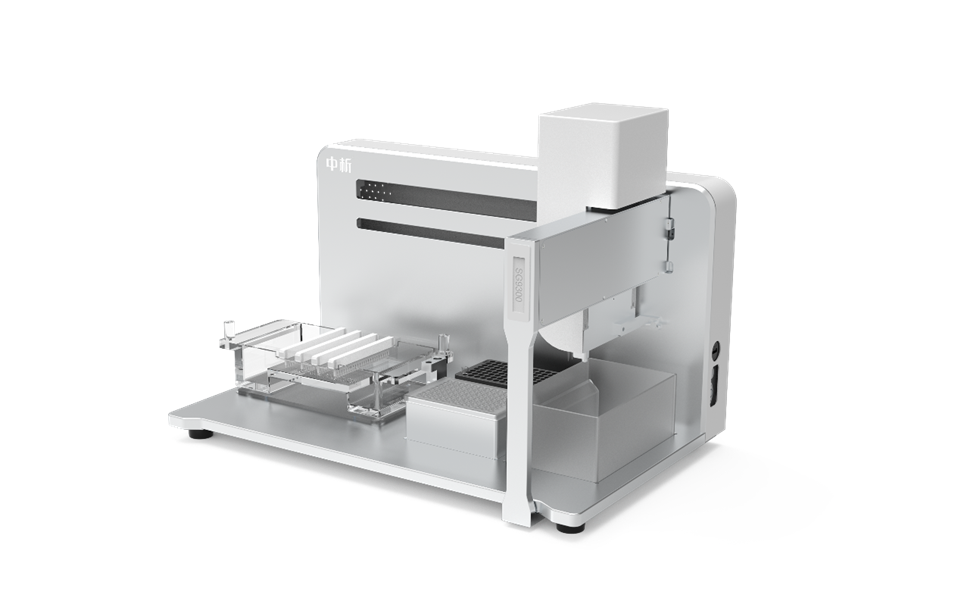 Gel Electrophoresis System